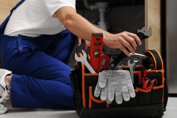 Best Plumbing Inspection Services  in Alvin, TX